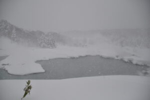 12月25日開催「後生掛・大湯沼へ行ってみよう」の下見に行ってきました。