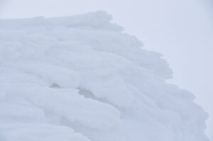 2月25日（土）「オオシラビソ植生密度日本一！　登山者の聖地・樹氷原を歩こう」を開催しました。