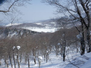 3/8 「ベコ谷地スノーシューハイキング」下見に行ってきました。