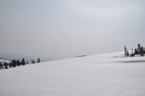 ３月１９日（日）開催「早春の栂森スノーシューハイキング」の下見に行ってきました。