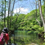 ①100年前の湯治客も通った「沼を巡る古道歩き」