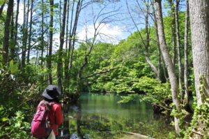 ①100年前の湯治客も通った「沼を巡る古道歩き」