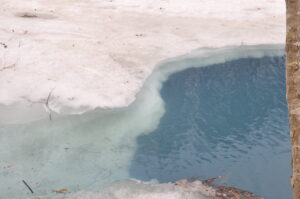 4月22日（土）開催「早春スノーシュー　ヒミツの巨木と沼めぐり」の下見に行ってきました。