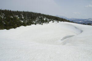 4/10　いちはやく水面が