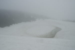 4/26　うろこ模様