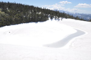 5/11　新雪に覆われて