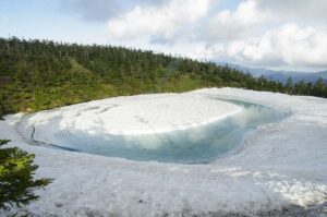 5/31　水面あざやかに
