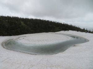 5/22　水面広がる