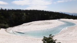 6/6　瞳ができ始めています　