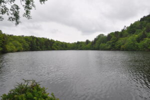 ６月11日（日）「新緑の長沼　キヌガサソウに逢おう」を開催しました。