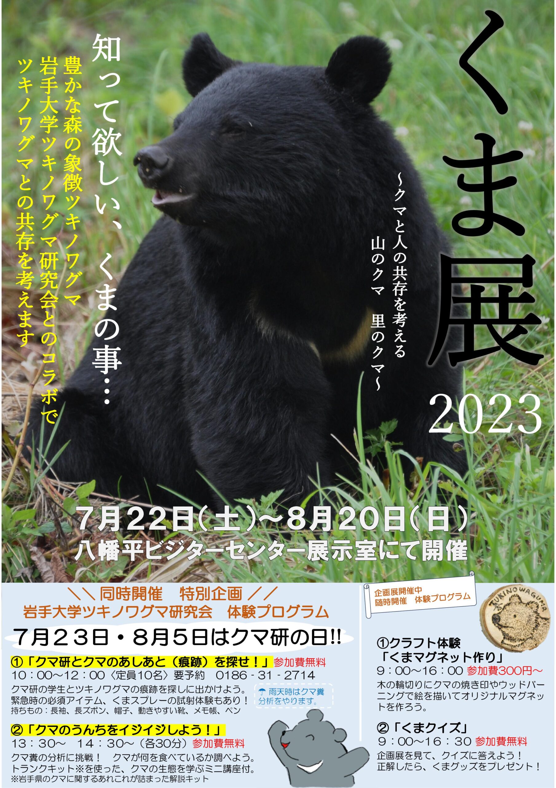 企画展「くま展2023 ～クマと人の共存を考える 山のクマ 里の