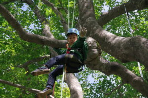 【8月11日（金祝）開催「ツリークライミング体験」空き状況について】