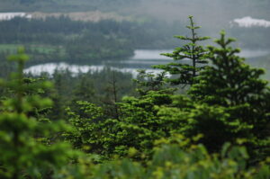 NHK「さわやか自然百景」アンコール放送のお知らせ
