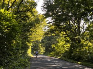 【申し込み締め切り延長！】9/16開催「八幡平を美しくする会クリーンアッププログラム」下見に行ってきました