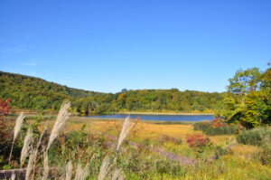 大沼紅葉情報