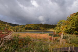 大沼紅葉情報