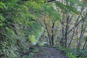 10月22日（日）開催　秋の里山観察会「志張ふれあい観察路」を歩こうの下見に行ってきました。
