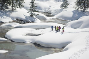 真冬の噴気地帯を歩く　【予約型スノートレッキング（スノーシュー）】②ロングコース「後生掛 大泥火山スノーシューツアー」