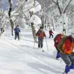 パウダースノーのブナ林をめぐる　【予約型スノートレッキング（スキーハイク）】②ロングコース「山毛森スキーハイクツアー」