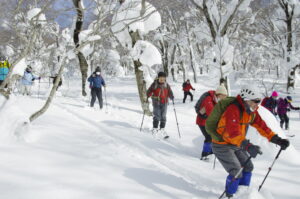 パウダースノーのブナ林をめぐる　【予約型スノートレッキング（スキーハイク）】②ロングコース「山毛森スキーハイクツアー」