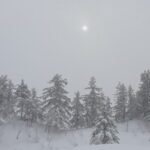 【年末年始休業のお知らせ】