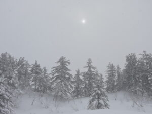 【年末年始休業のお知らせ】