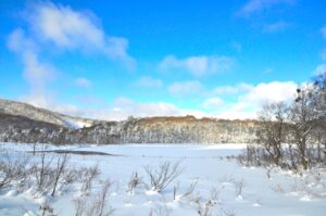 12/4 冬山巡視「大沼」＆支障木処理