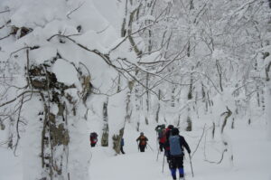 1月27日（土）スキーハイクで冬山さんぽ「蒸ノ湯・大谷地コース」を開催しました。