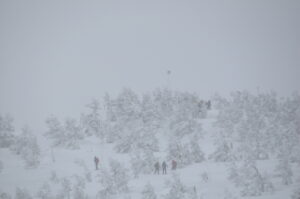 2月24日（土）「オオシラビソ植生密度日本一！　登山者の聖地・樹氷原を歩こう」を開催しました。