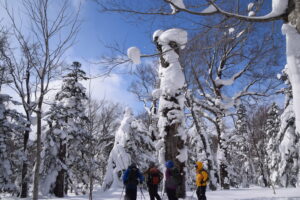 2月11日「スキーハイク」で冬山さんぽ『ベコ谷地コース』を開催しました。