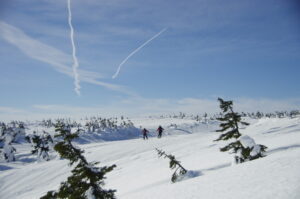 2/18・19　冬山巡視「八幡平Ⅰ」