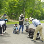 7月25日（日）「夏　湿原に集まるクマたちの痕跡を見る」