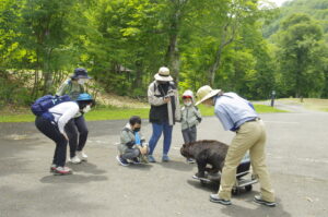 7月25日（日）「夏　湿原に集まるクマたちの痕跡を見る」