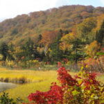 ①湿原の四季をめぐる「大沼自然探勝路をひとまわり」