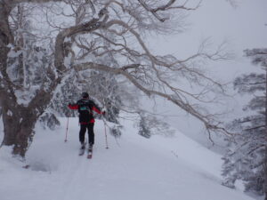 3/1　冬山巡視「茶臼Ⅳ」曇り