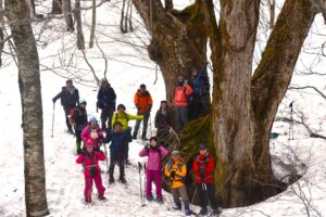4月20日『よんご沼　残雪トレッキング』を開催しました。