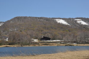 5月3日（金）「森の歌姫　“キビタキ”　に会えるかな⁉」を開催しました。