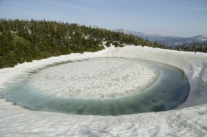 5/5　雪解けすすむ