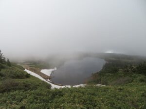 【自然情報】6月5日　八幡平山頂・八幡沼