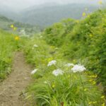 【自然情報】７月15日　畚岳