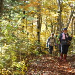 【終了しました】10月19日(日)「長沼 黄葉のブナ林トレッキング」