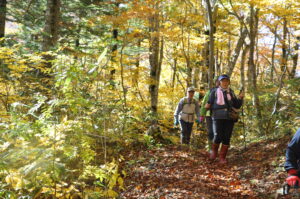 【終了しました】10月19日(日)「長沼 黄葉のブナ林トレッキング」