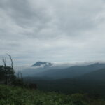 【自然情報】8月23日　山頂周回