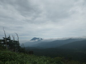【自然情報】8月23日　山頂周回