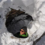 3月15日（日）「残雪のブナ森でクマ棚を探そう」