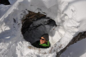 3月15日（日）「残雪のブナ森でクマ棚を探そう」