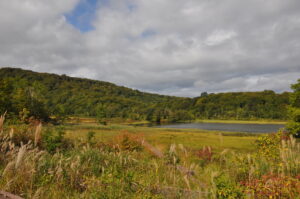 大沼紅葉情報（9月26日）
