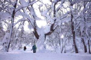 2月15日（日）「山毛森（ぶなもり） 白銀スキーハイキング」