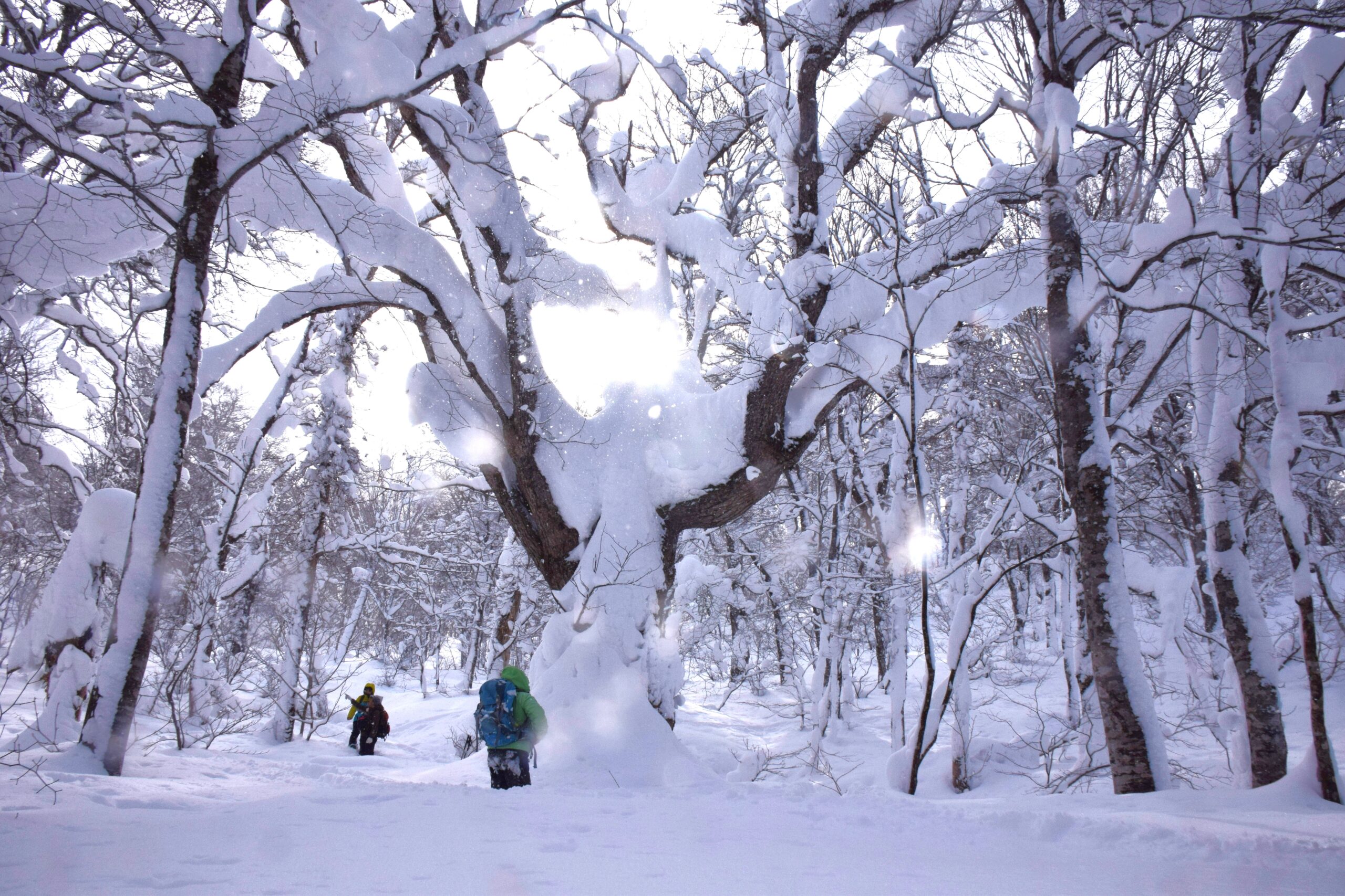 終了しました】2月15日（日）「山毛森（ぶなもり） 白銀スキー