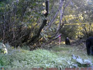 【クマ情報】週間レポート8/26～9/2（大沼後生掛地区）